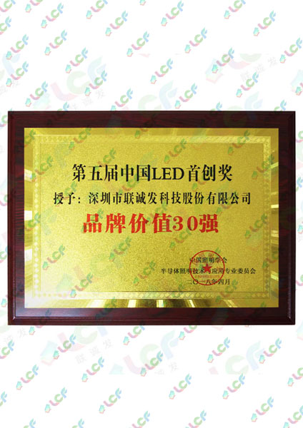 第五届中国LED首创奖(品牌价值30强)